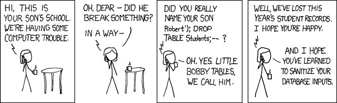 exploits of a mom xkcd. Jokes about a son with a name that would drop SQL tables in poorly sanitised databases